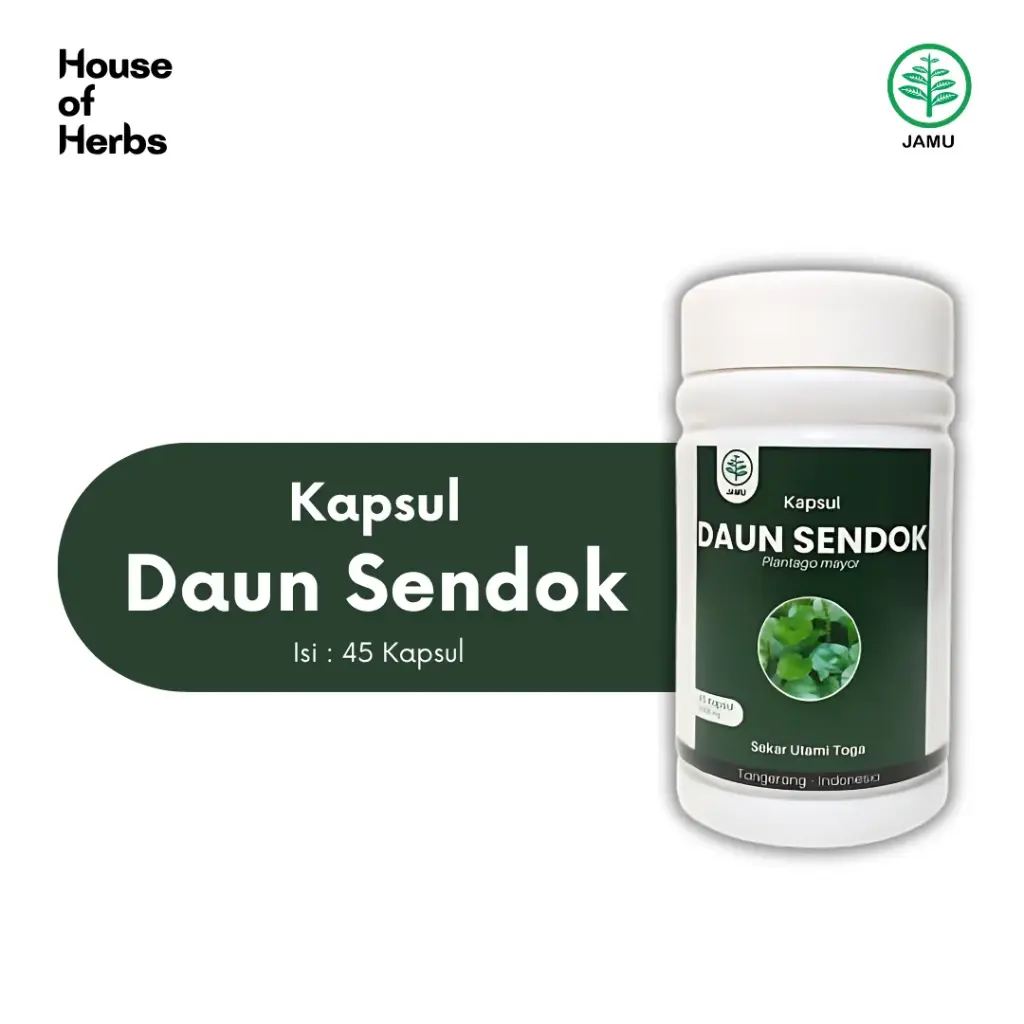 Daun sendok