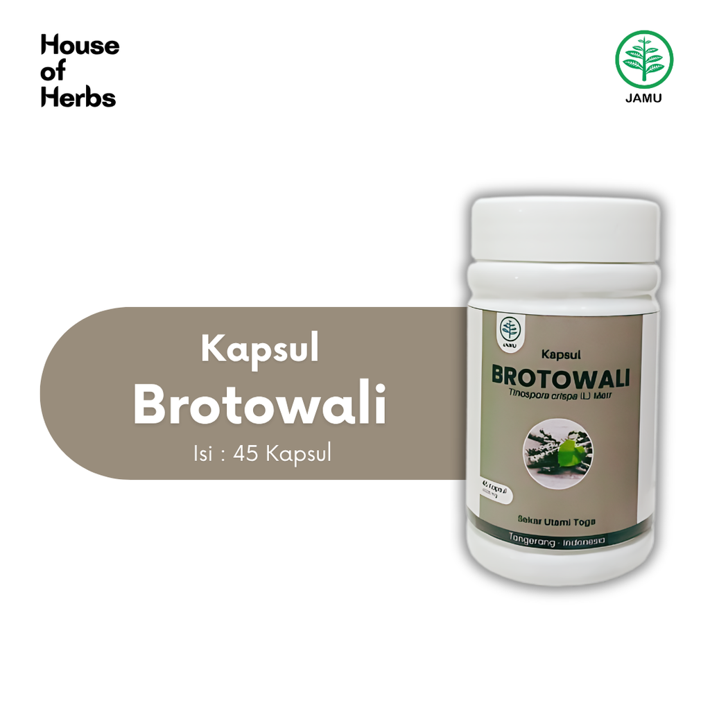 Brotowali