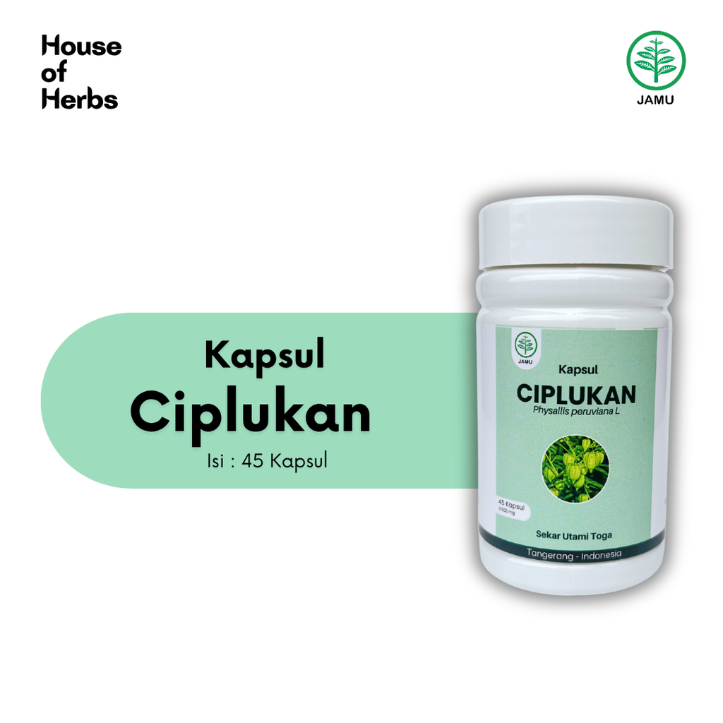 Ciplukan