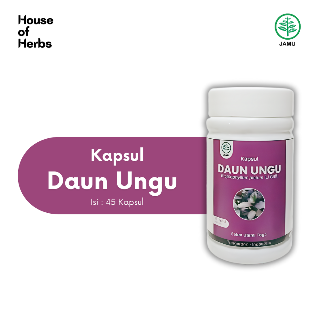 Daun Ungu
