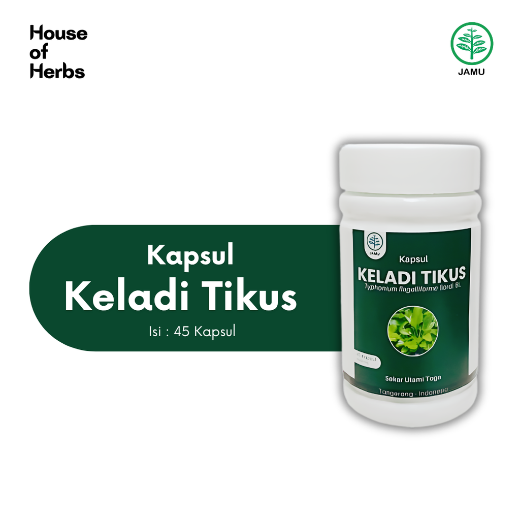 Keladi Tilus