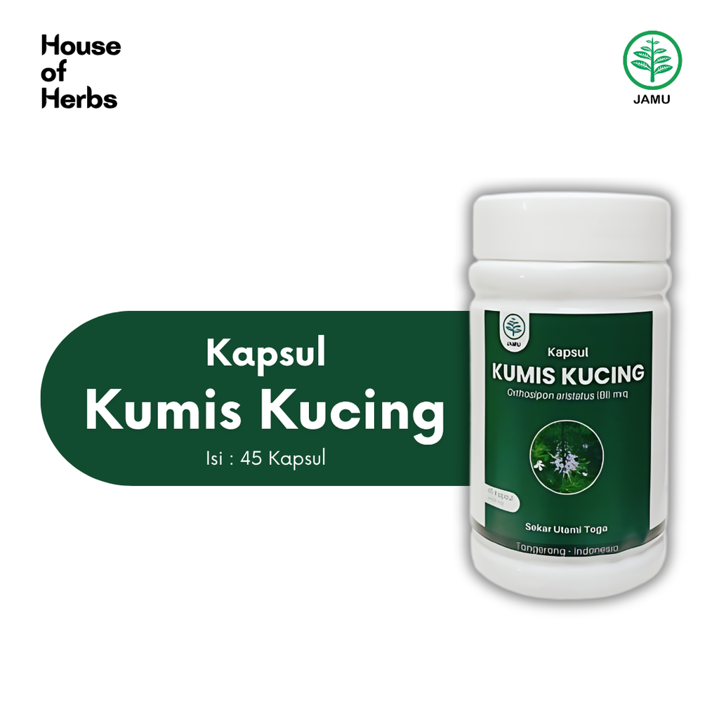 Kumis Kucing