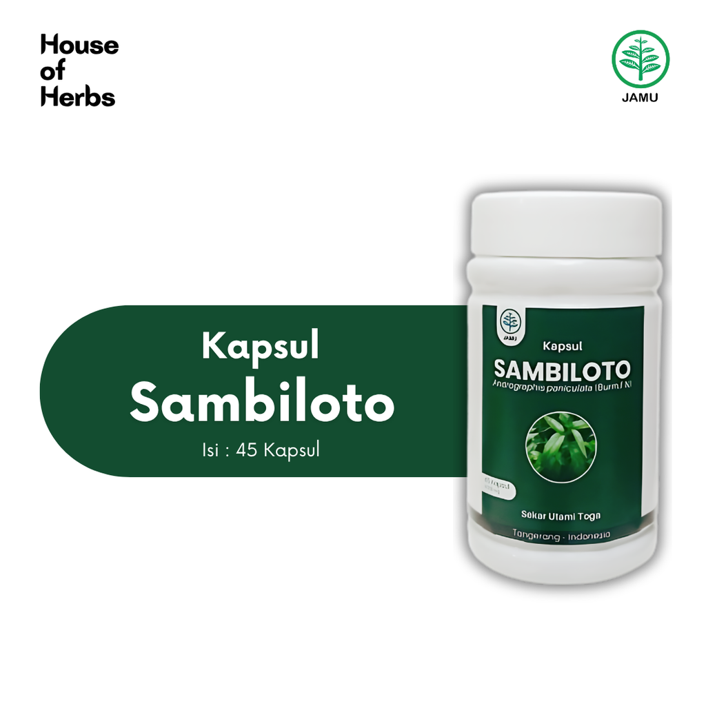 Sambiloto