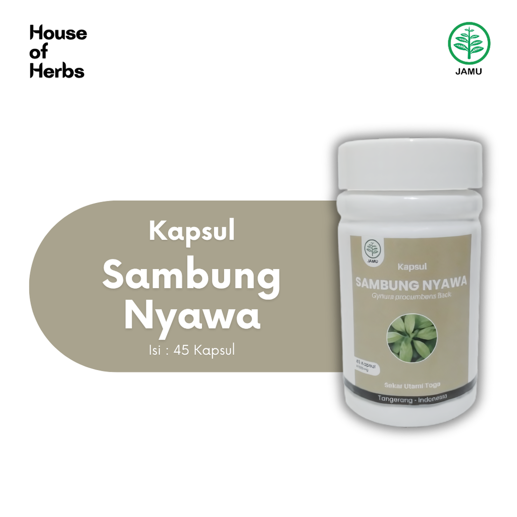 Sambung Nyawa