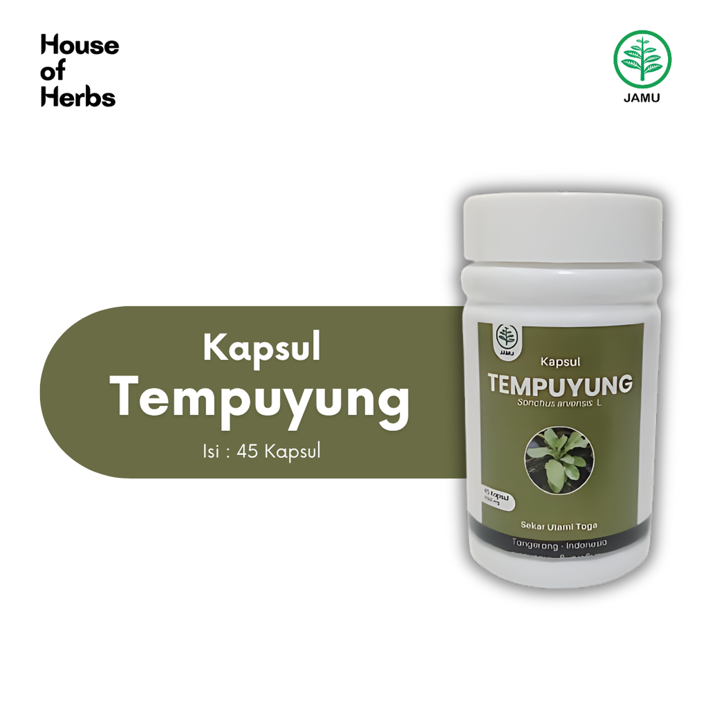 Tempuyung