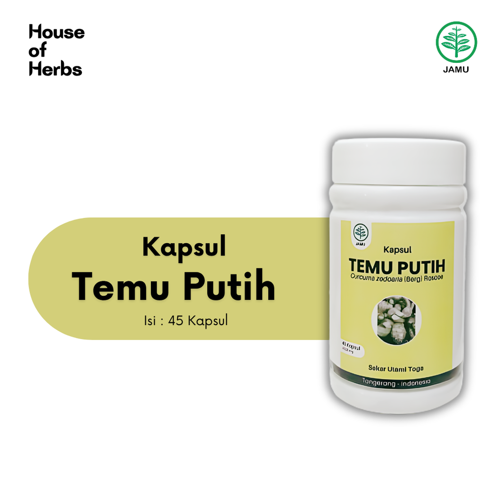 Temu Putih
