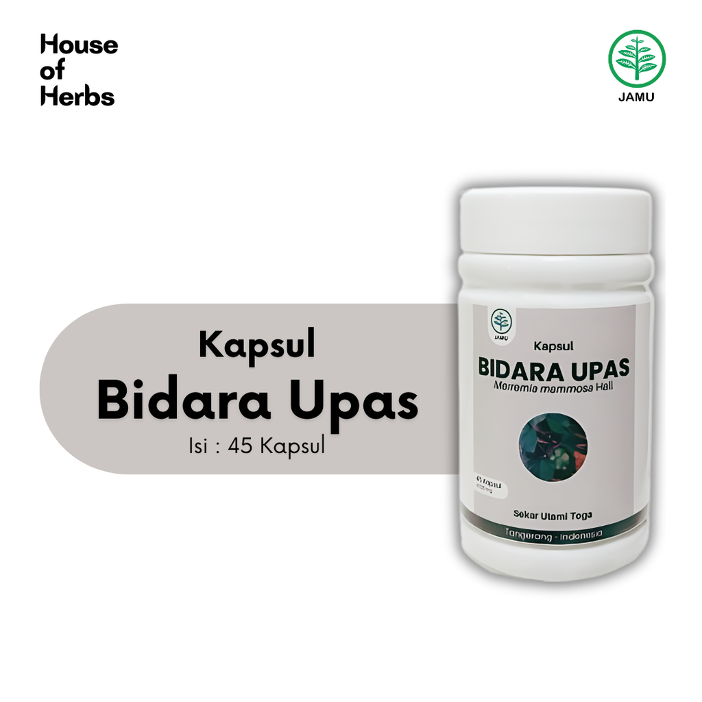 Bidara upas