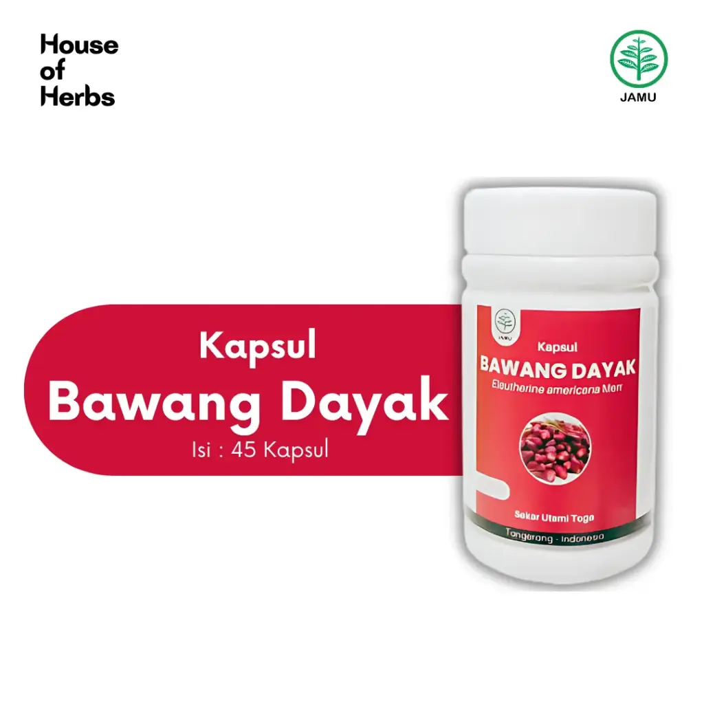 Bawang dayak