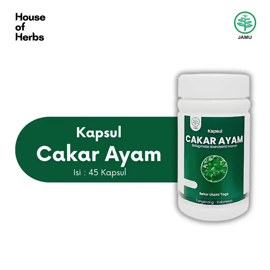 Cakar ayam